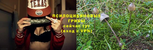сатива Арсеньев