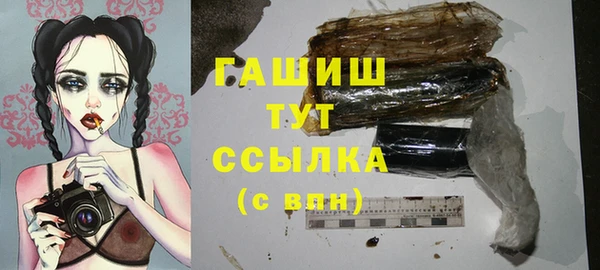 сатива Арсеньев