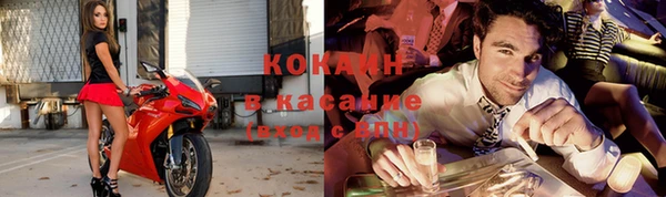 сатива Арсеньев
